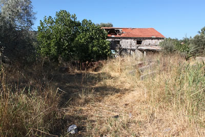 Resim 7. Büyükhüsun köyü sahilindeki eski zeytinyağı işliği.